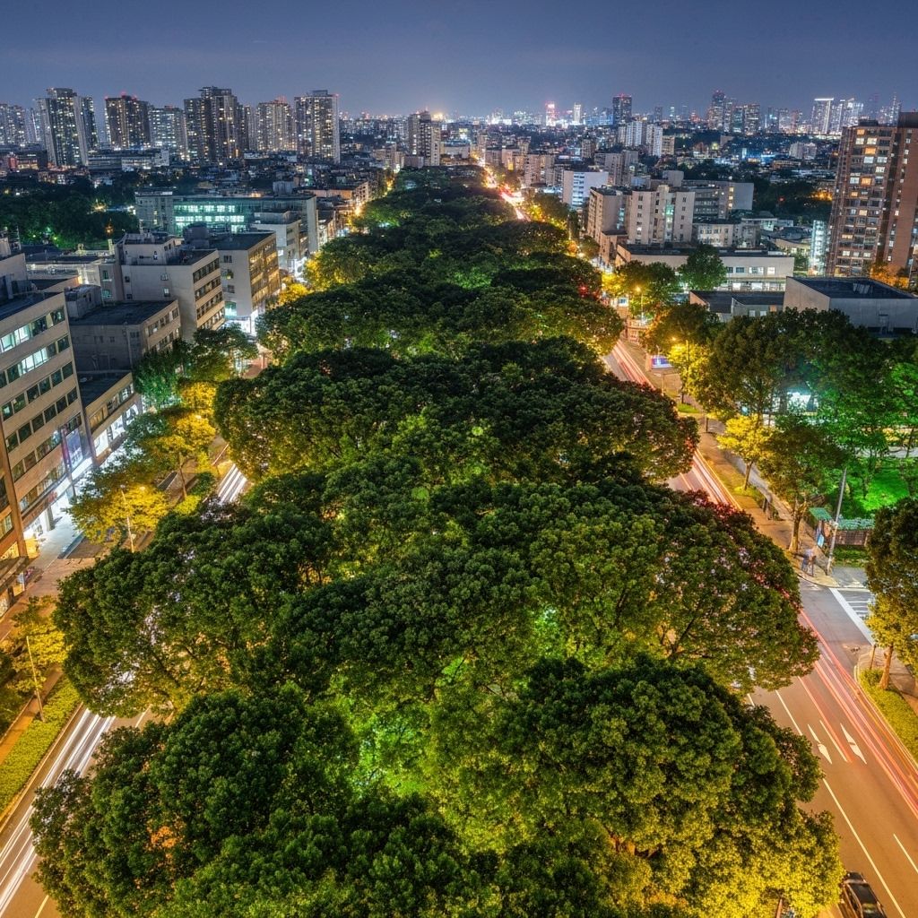 Urban Forest Initiative